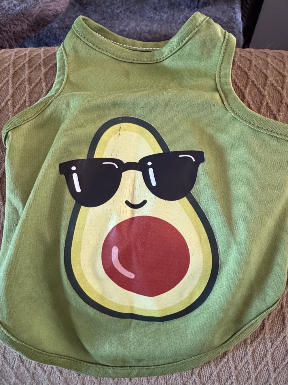 Small dogs avocado shirt
